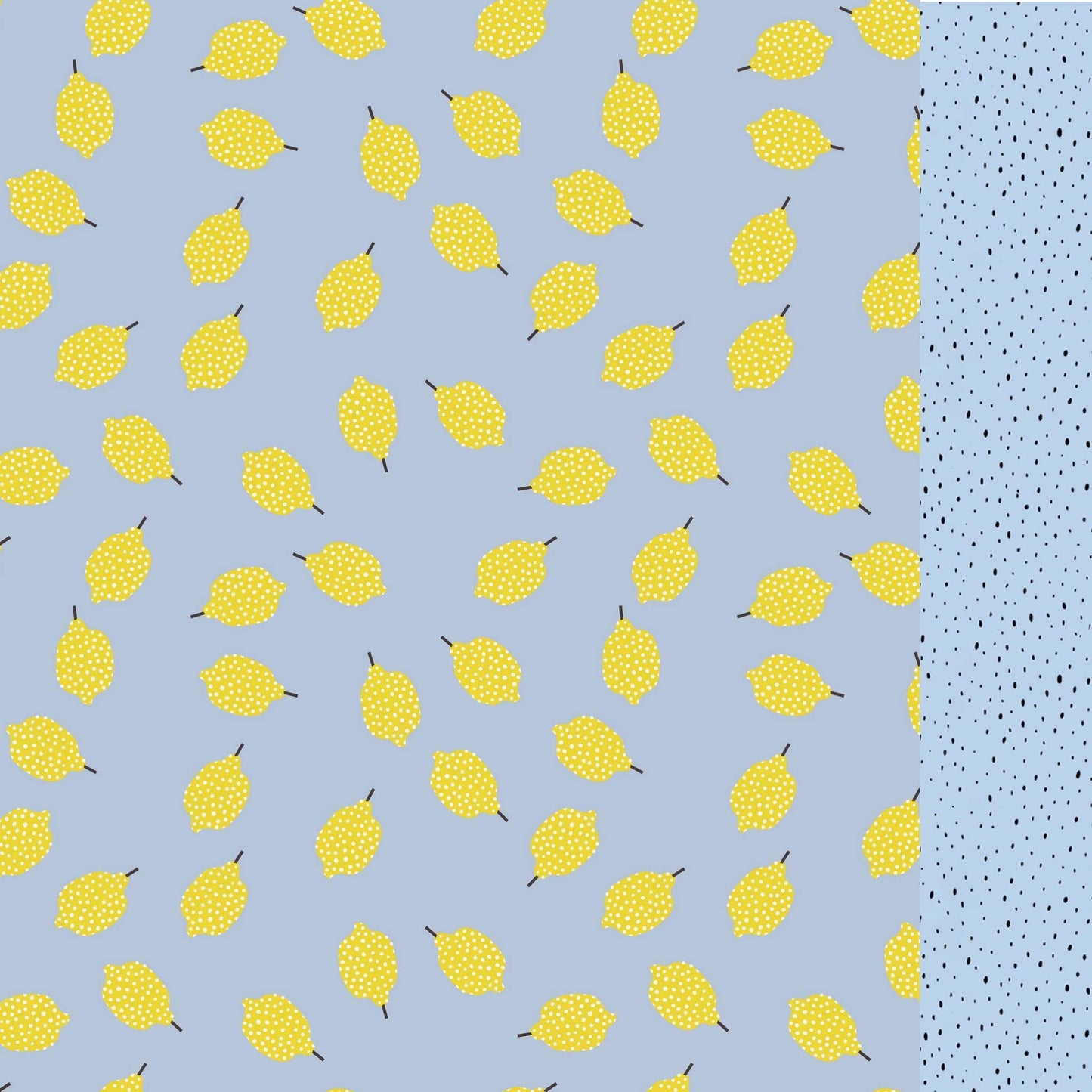 Lemon surfer swim shorts