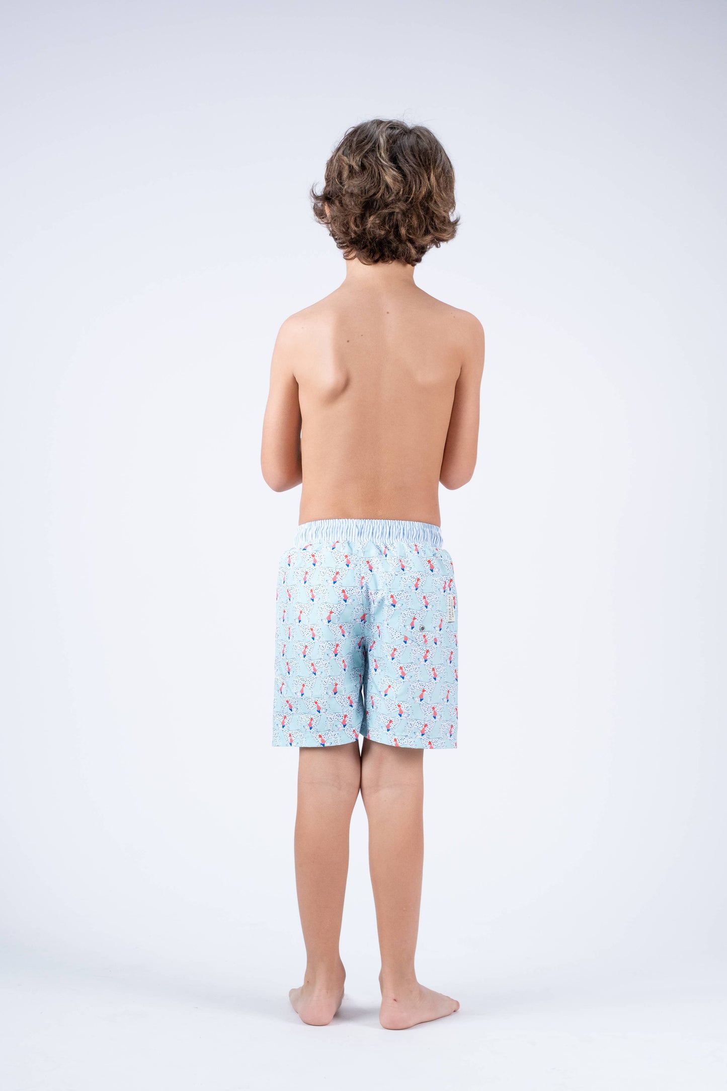 Party dogs classic swim shorts