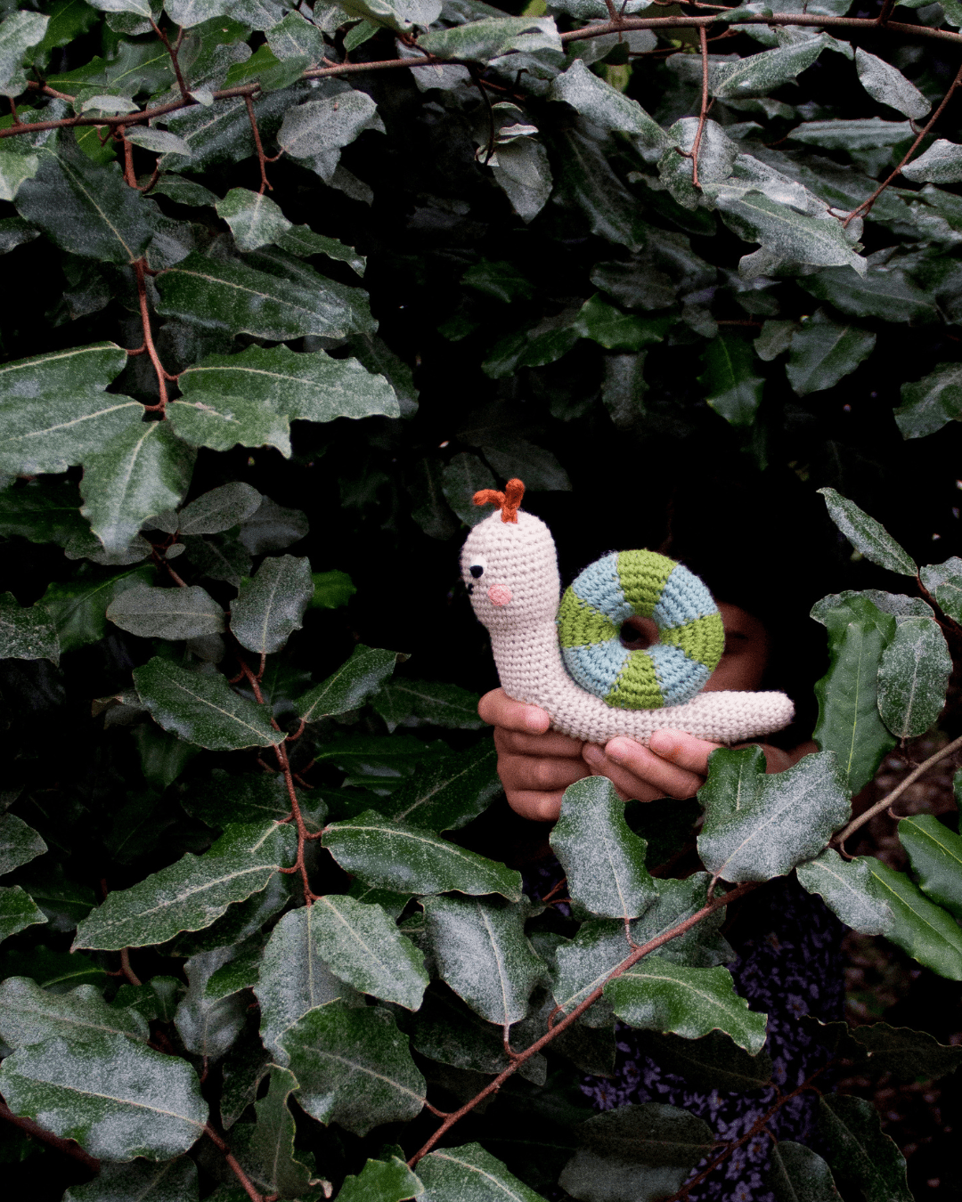 Snail Rattle