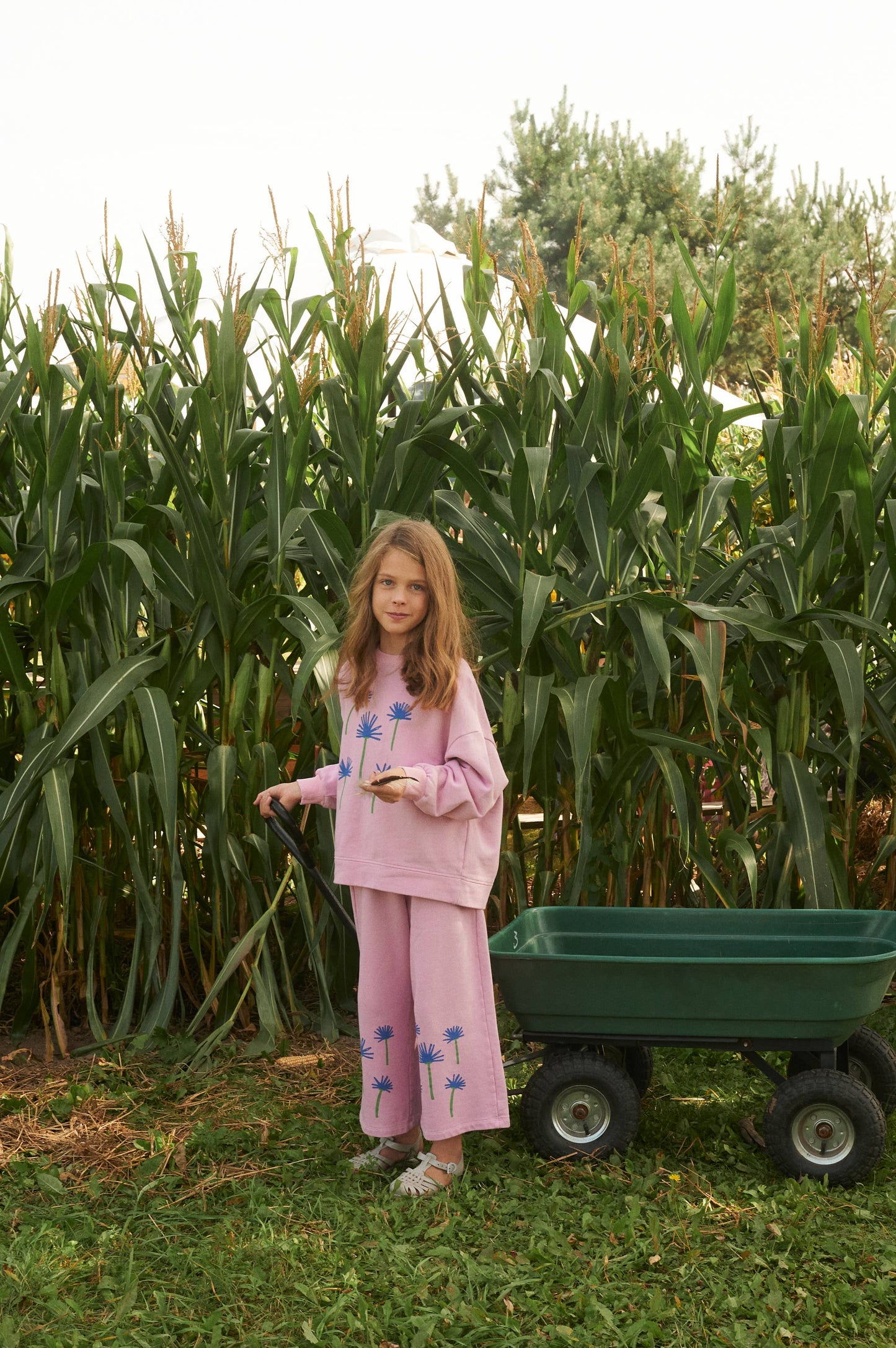 CORNFLOWER WIDE-LEG PANTS