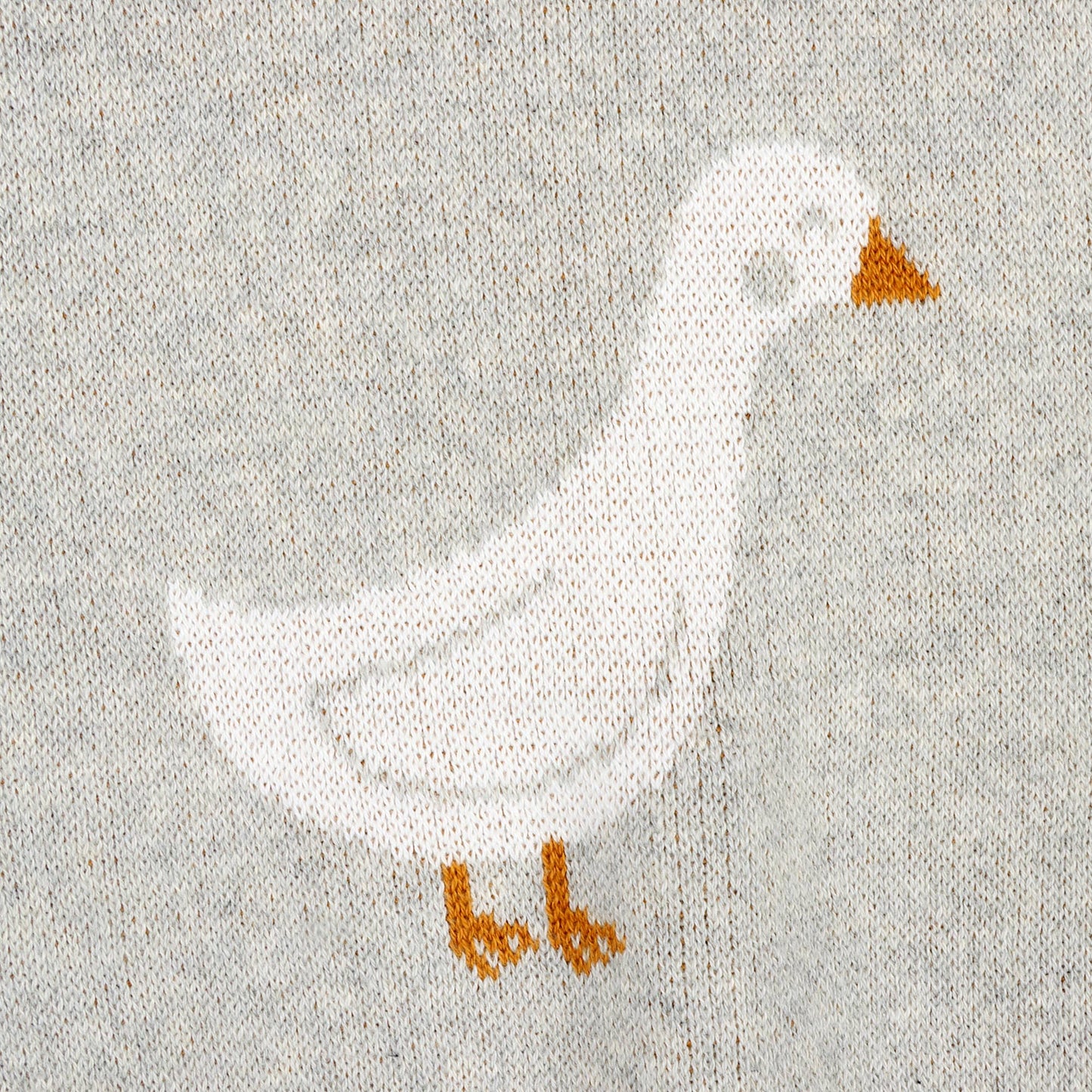 White goose with orange feet and beak on a textured gray background