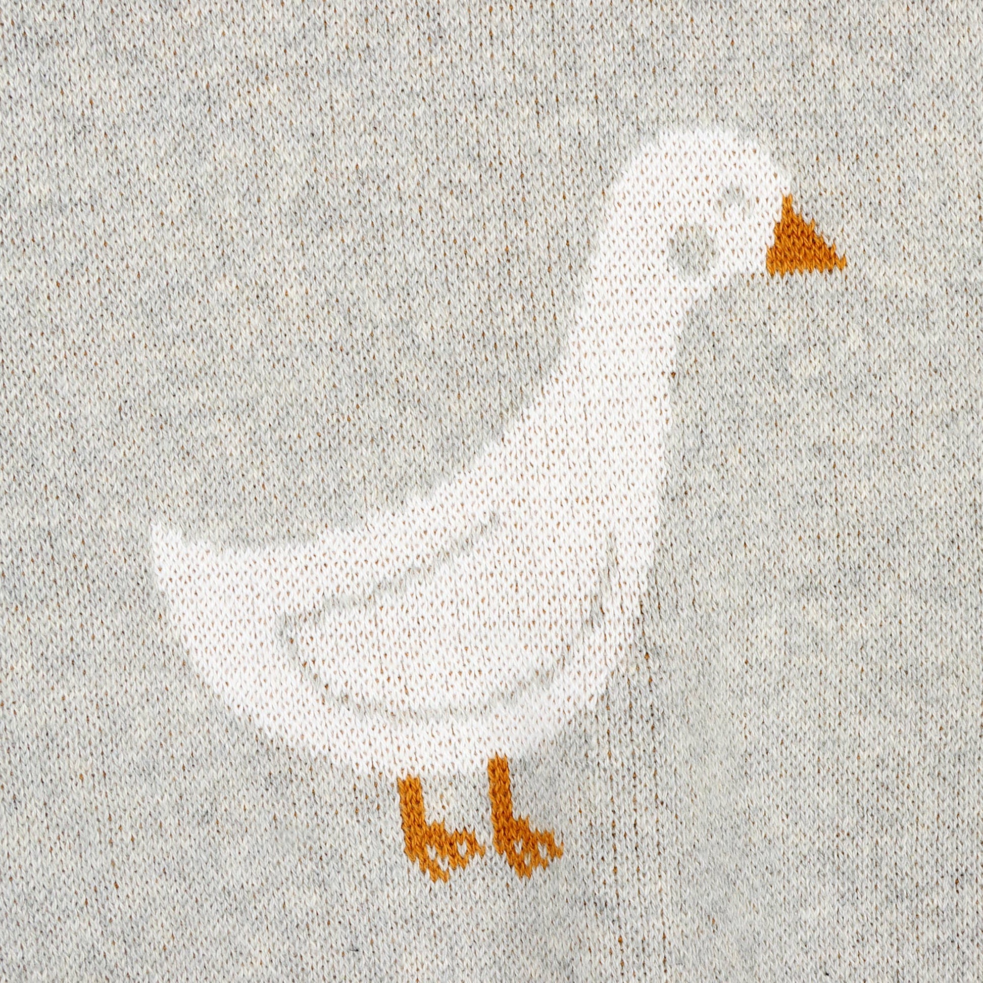 White goose with orange feet and beak on a textured gray background