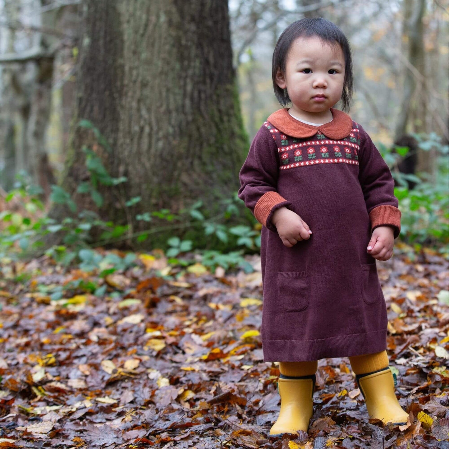 Collecting Flowers Knitted Collar Dress