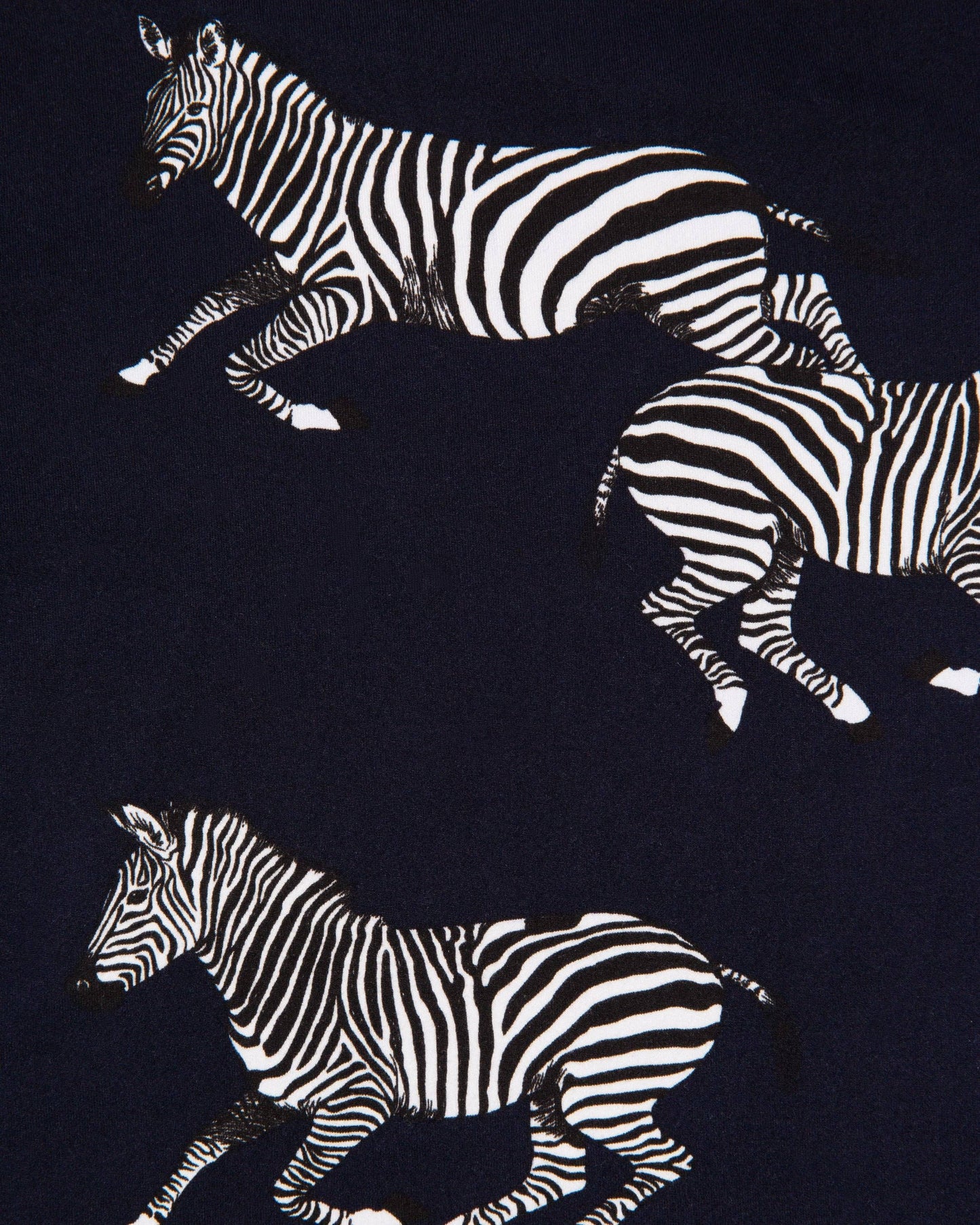 Kids' Navy Zebra Print Long Pajama Set