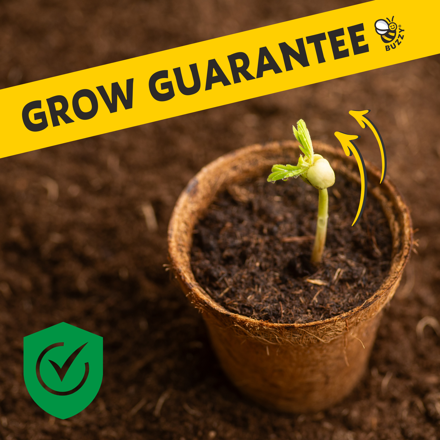 Painted Flower Grow Pail – Sunflower Indoor Garden Gift