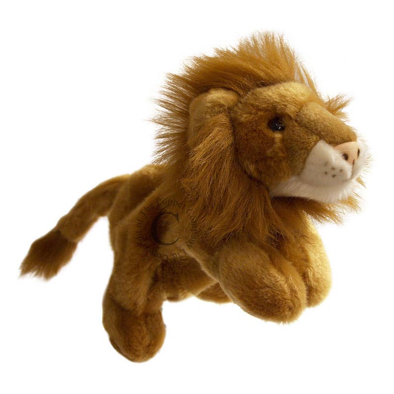 Plush lion toy puppet on a white background