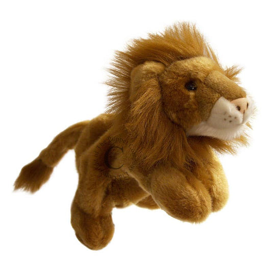 Plush lion toy puppet on a white background