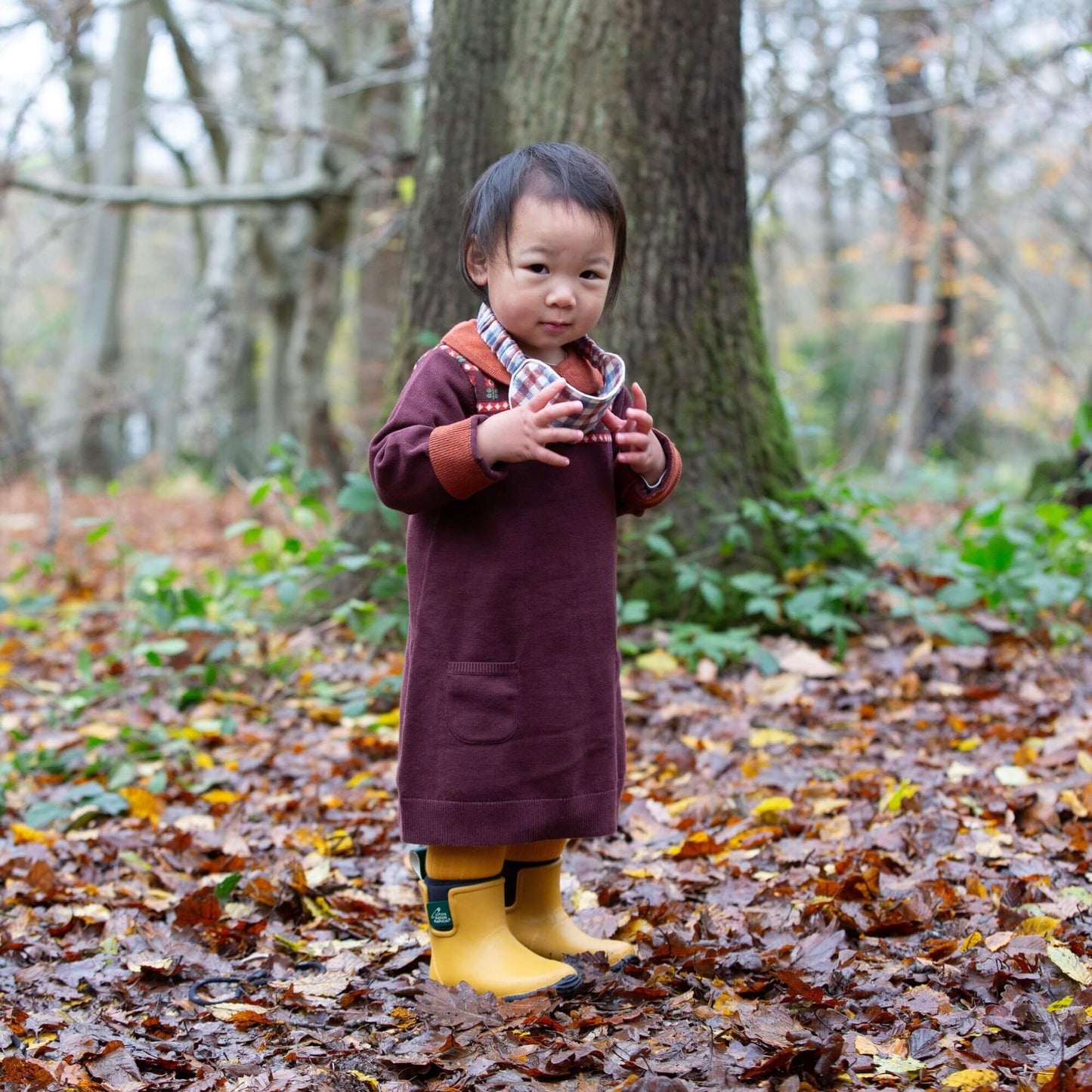 Collecting Flowers Knitted Collar Dress