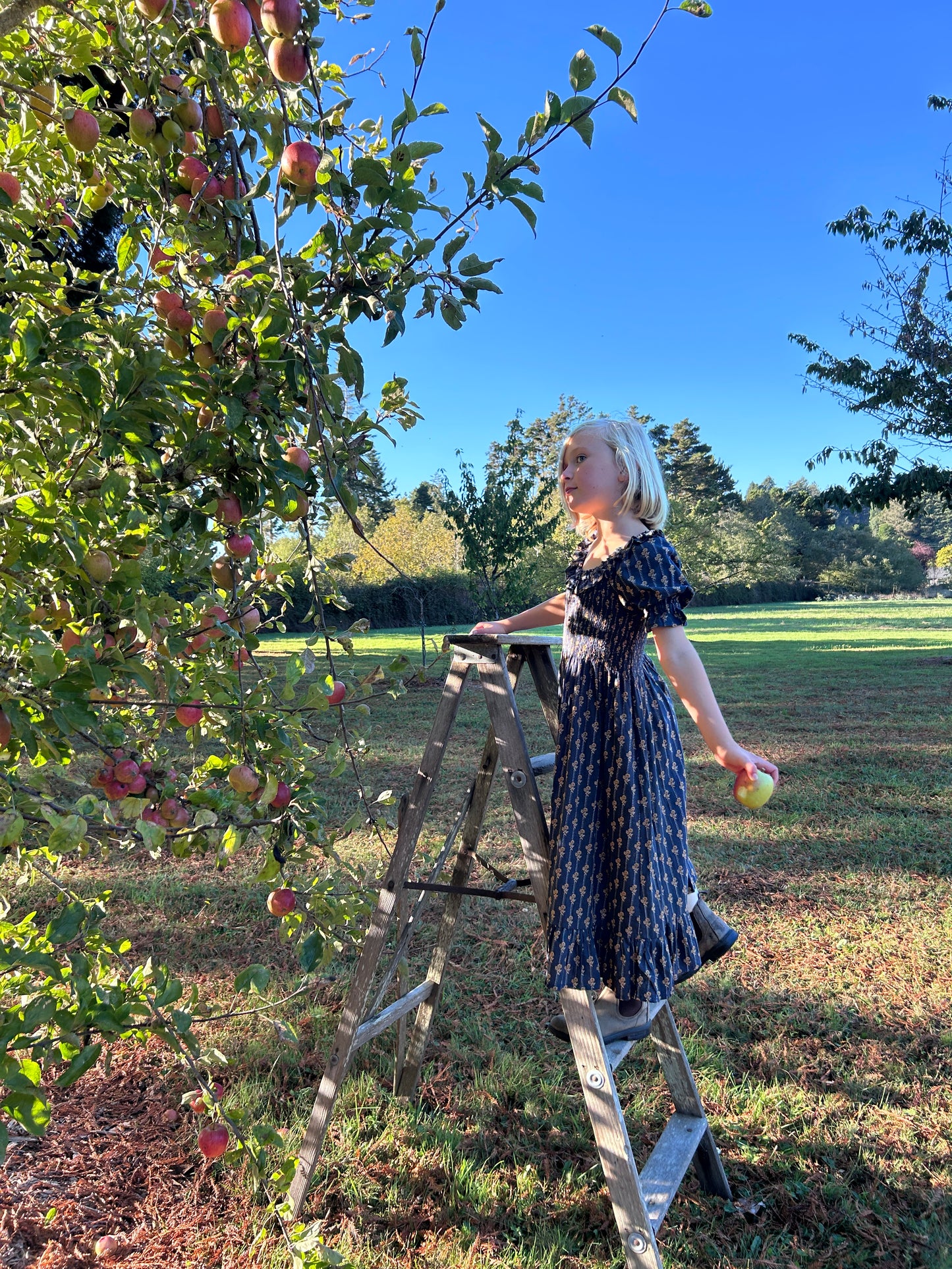 Lexi Dress - Vintage Bloom