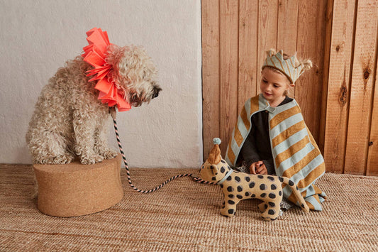 Dog and child in cape and crown costume with a wooden wall and carpeted floor background. Stuffed toy dog on floor.