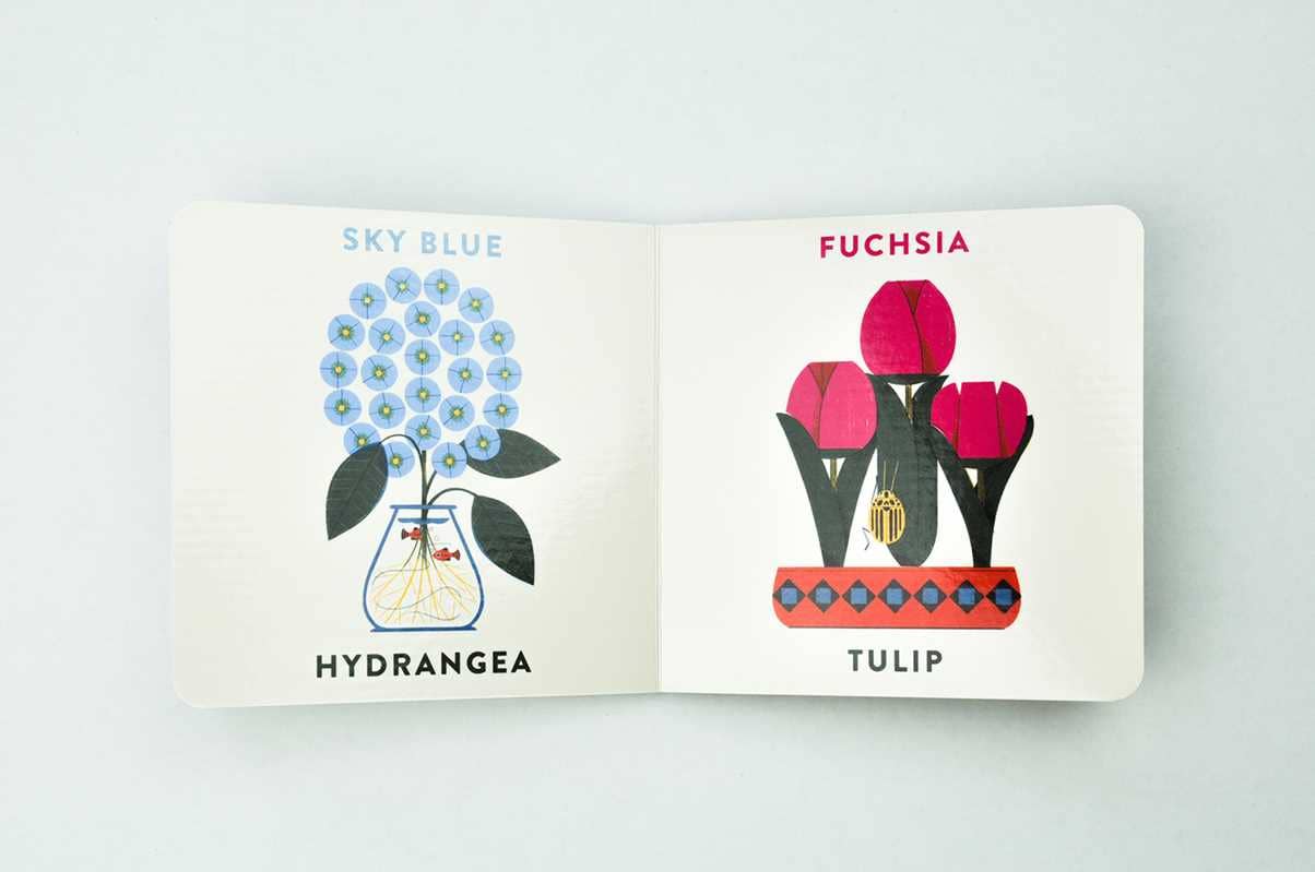 Open book with illustrations of flowers and their names on a white background. "Sky Blue, Hydrangea", "Fuchsia, Tulip"