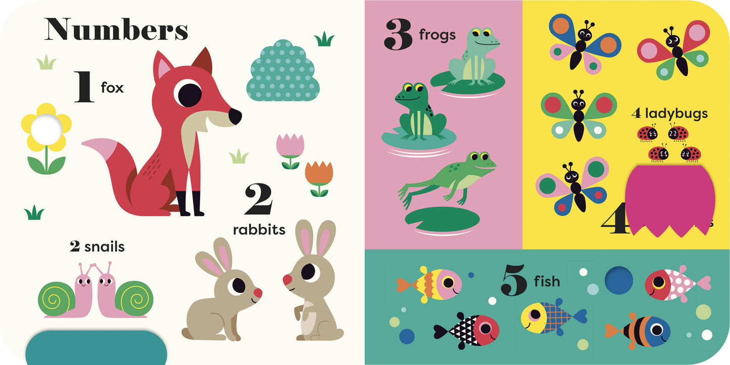 interior pages of My Big Playbook with sections on Numbers, frogs, ladybugs, and fish