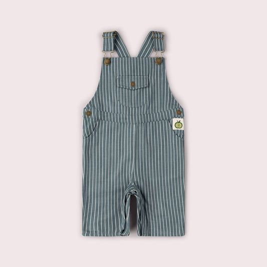 Striped baby overalls on a white background