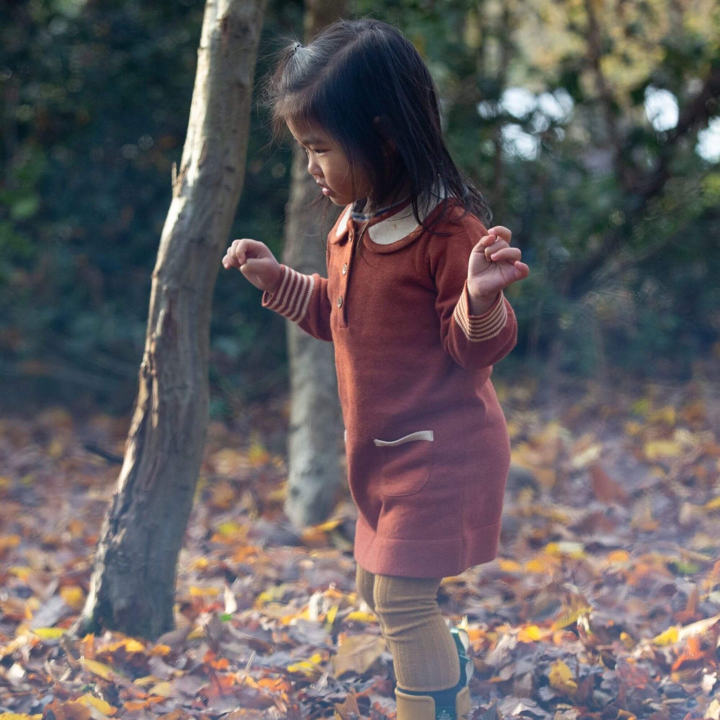 Ginger Knitted Collar Dress