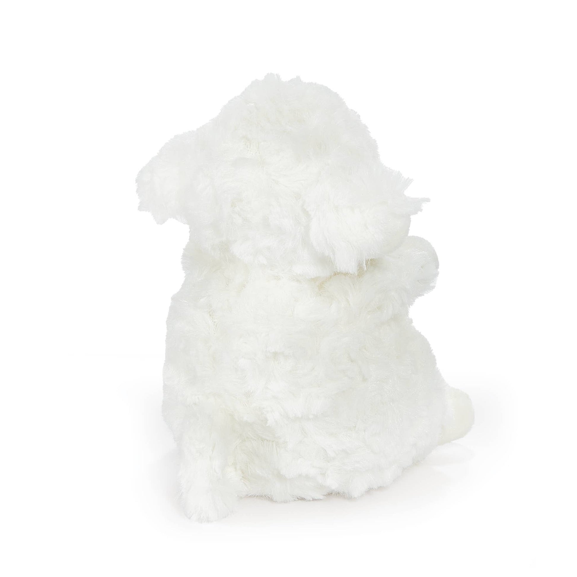 White fluffy lamb toy on a white background