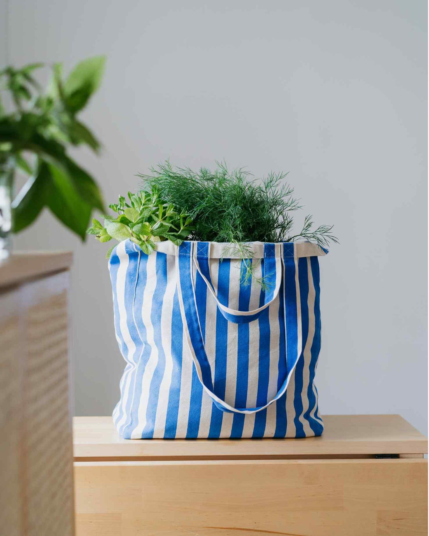 Blue and white striped handled tote bag with plants on a wooden surface
