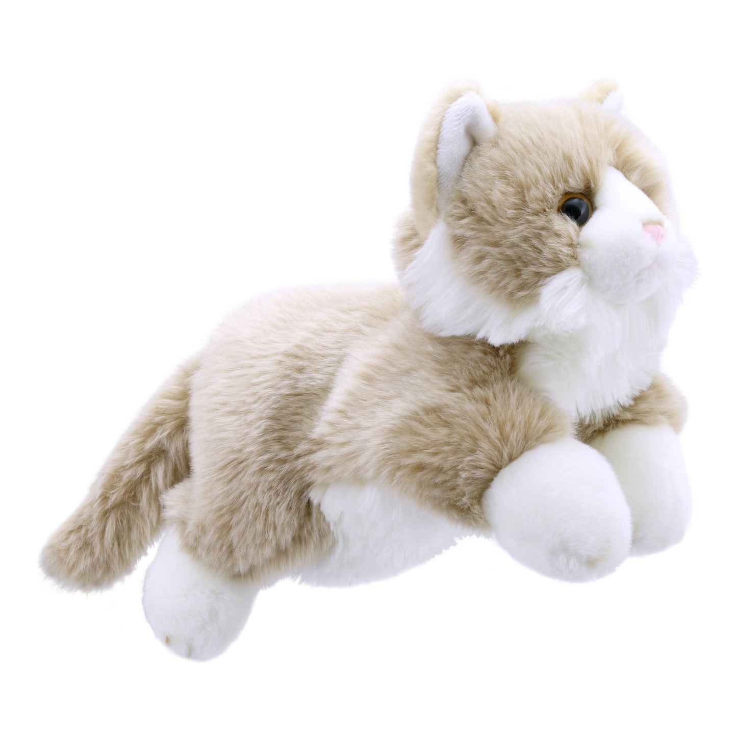 Plush toy cat puppet with beige and white fur on a white background