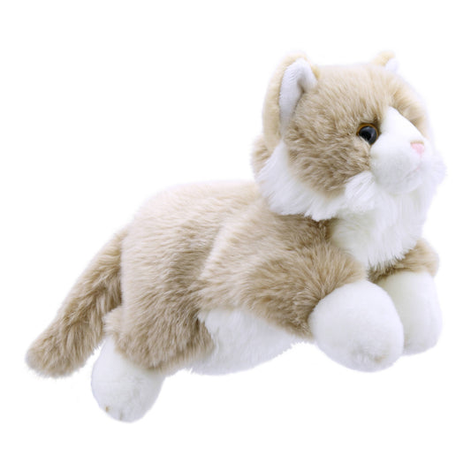 Plush toy cat puppet with beige and white fur on a white background