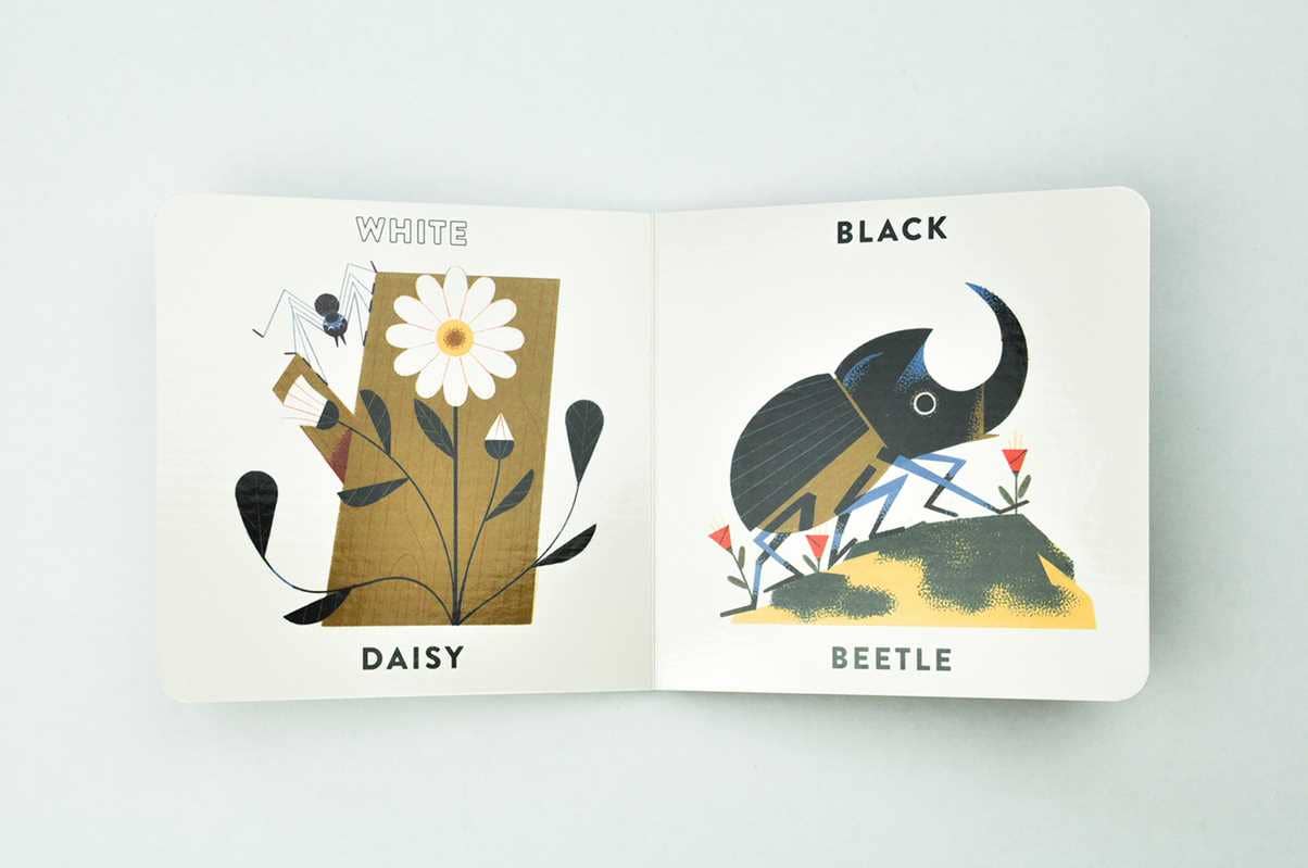 Illustrated book open to pages with a daisy and a beetle on a light gray background. "White, Daisy", "Black, Beetle"