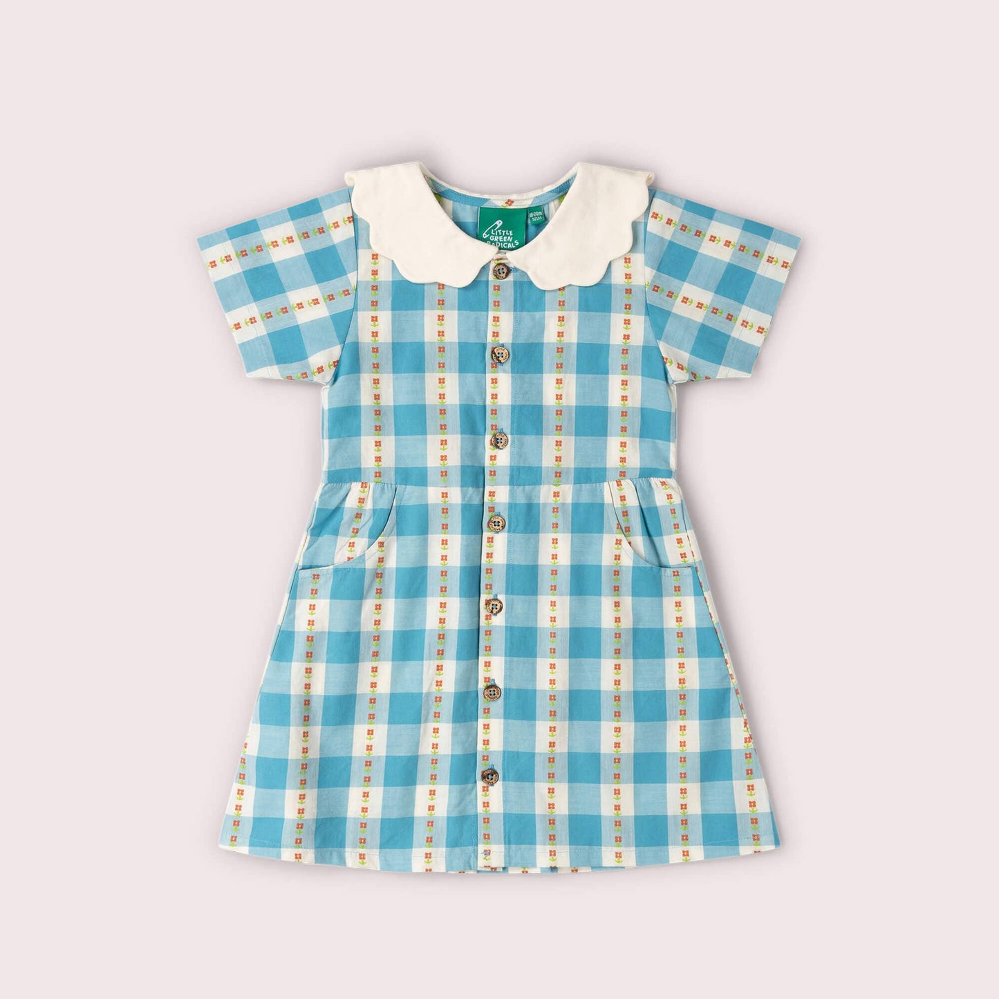 Blue checkered dress with a white collar on a light gray background