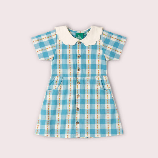 Blue checkered dress with a white collar on a light gray background
