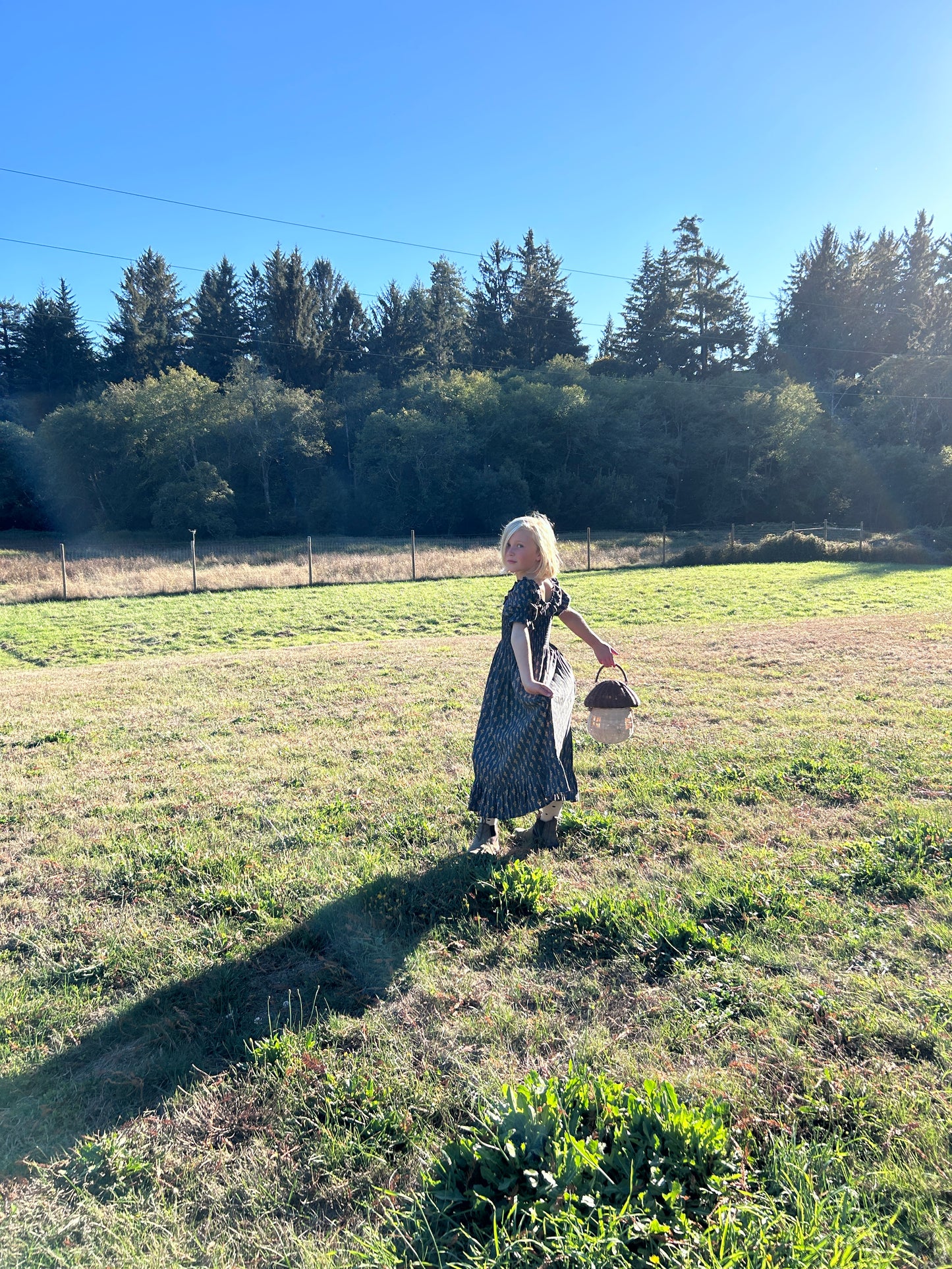 Lexi Dress - Vintage Bloom