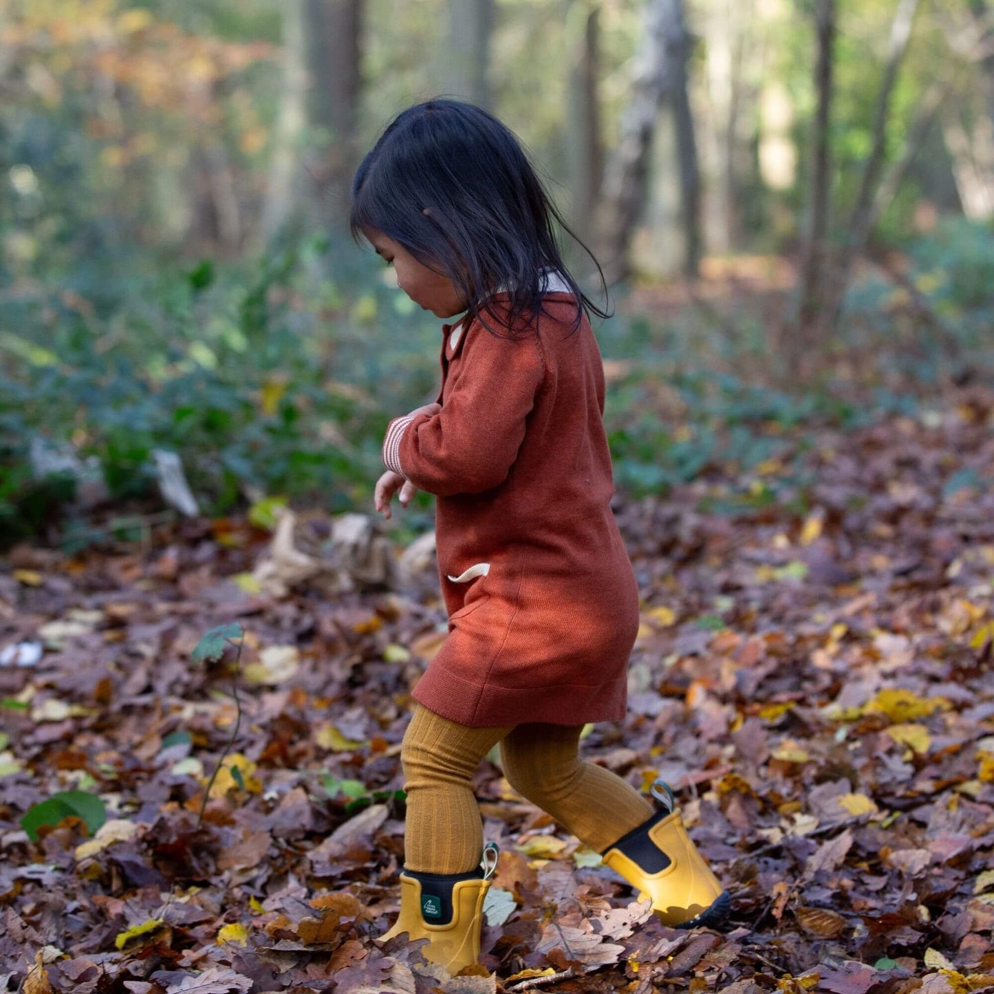 Ginger Knitted Collar Dress
