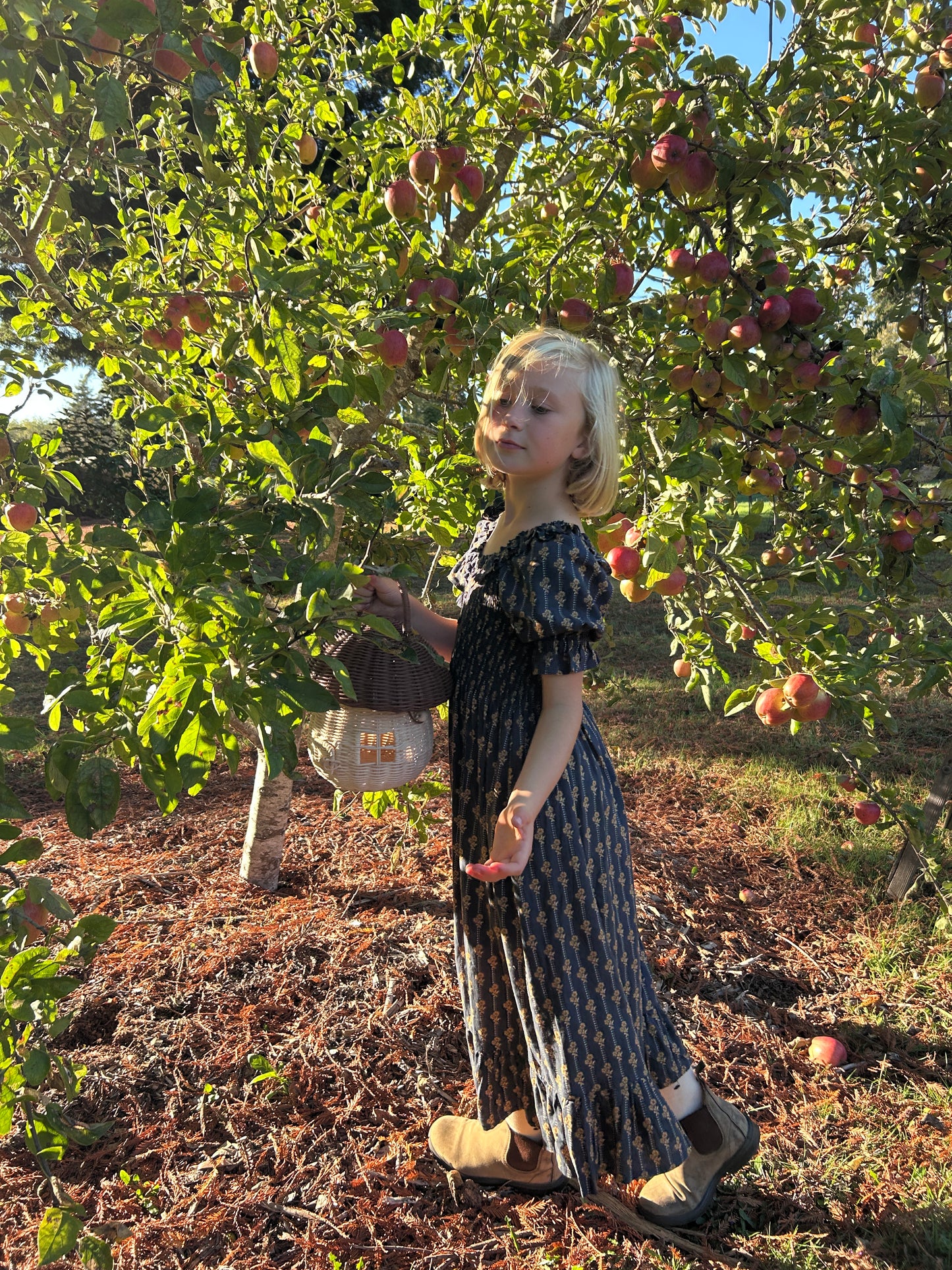 Lexi Dress - Vintage Bloom