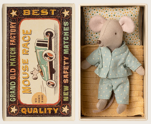 Little brother mouse in matchbox