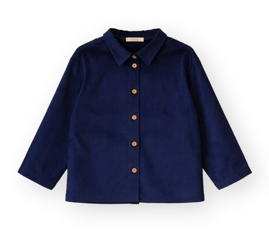 Blue collared button down children's top