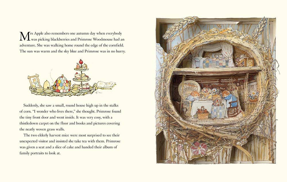 Interior of book, with pop out illustration of a mouse family's home inside a brambly hedge