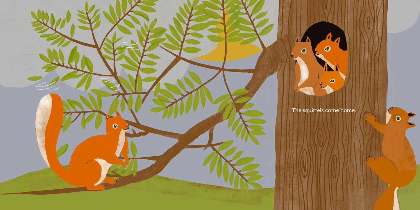 Illustration of squirrels in a tree with a tree trunk and branches.