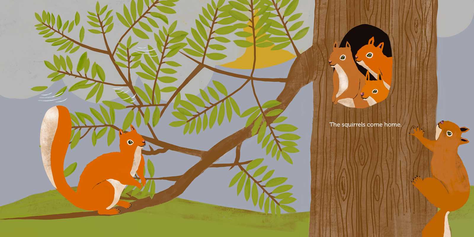 Illustration of squirrels in a tree with a tree trunk and branches.
