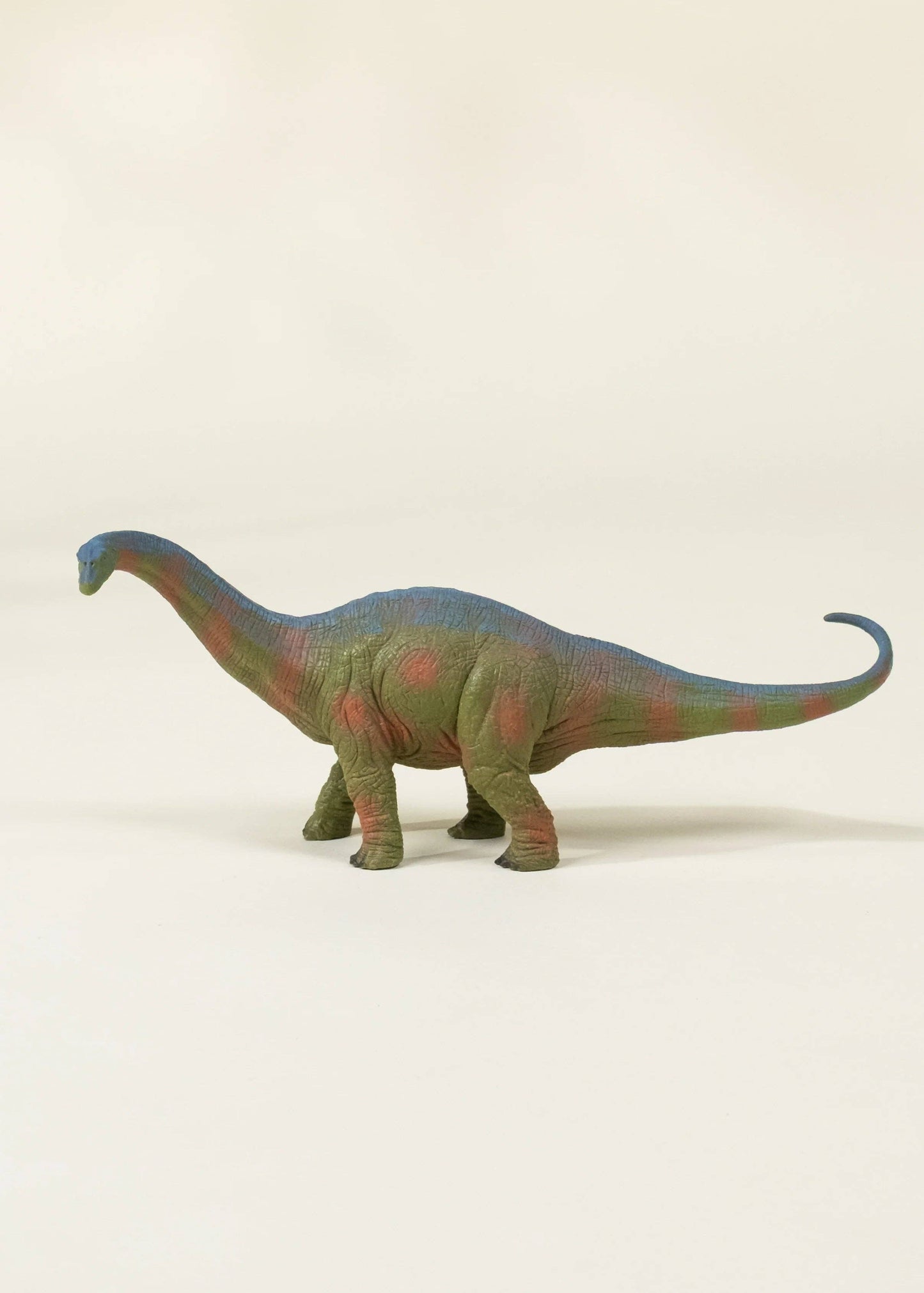 Brachiosaurus Dinosaur in a Collectible Box