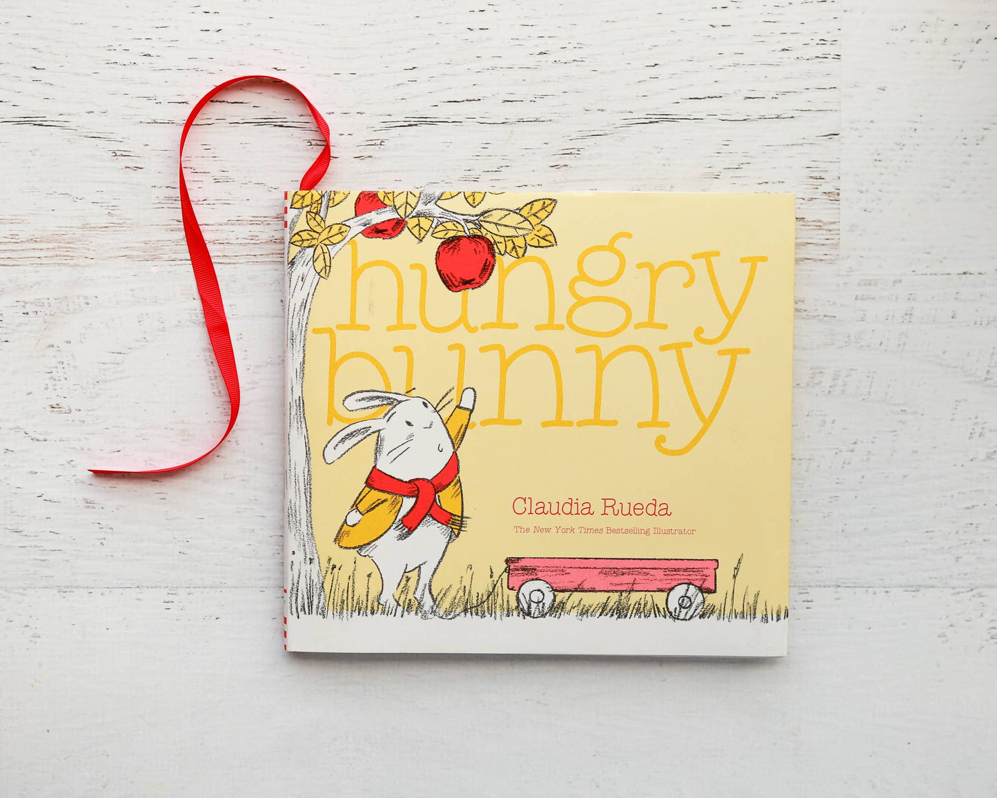 Children's book titled 'Hungry Bunny' with a rabbit illustration on a white wooden surface.