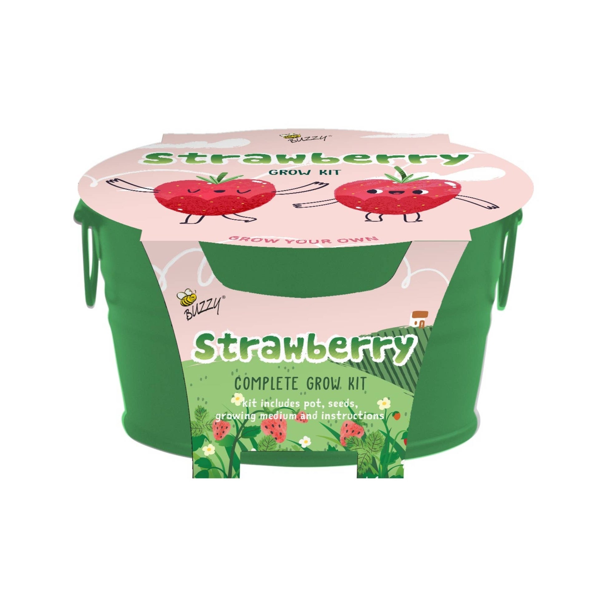 Strawberry grow kit packaging with cartoon strawberries on a white background