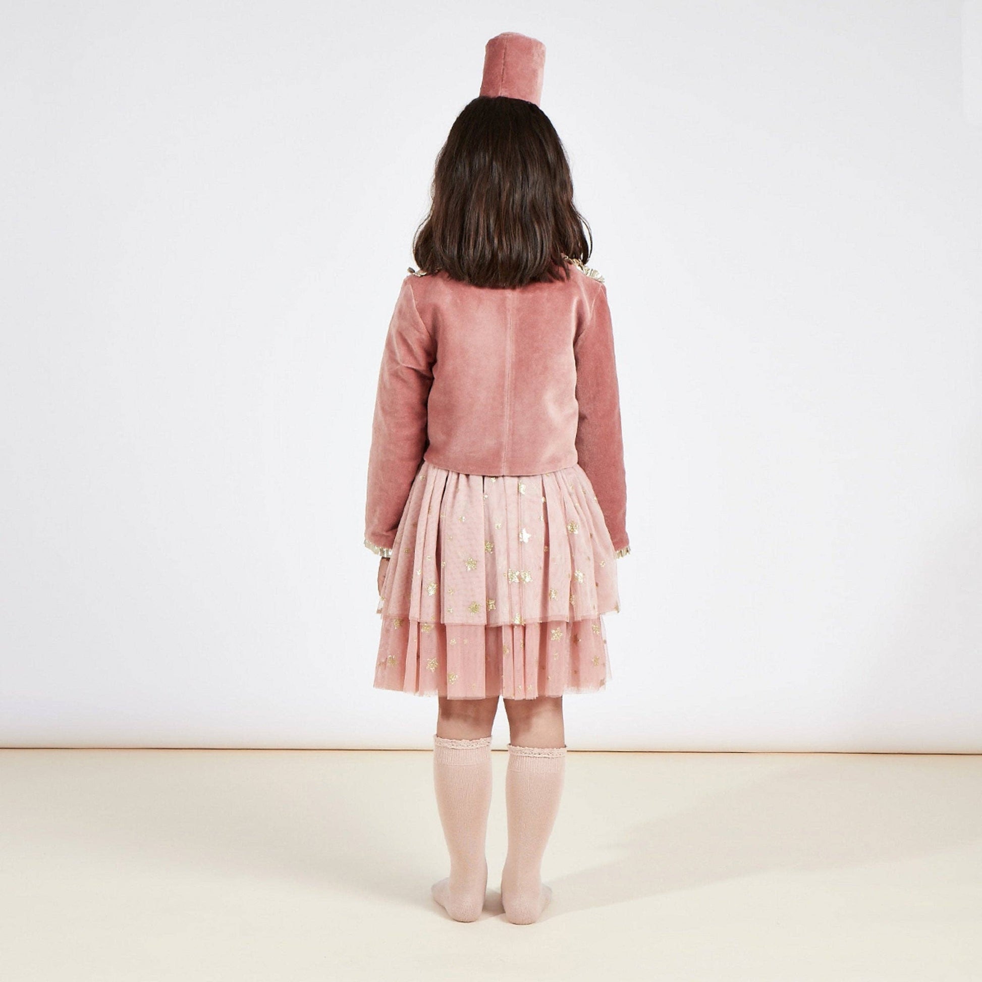 A child viewed from behind wearing a dusty pink velvet jacket, a matching pink tulle skirt with embroidered details, and pink knee-high socks against a plain white studio background.