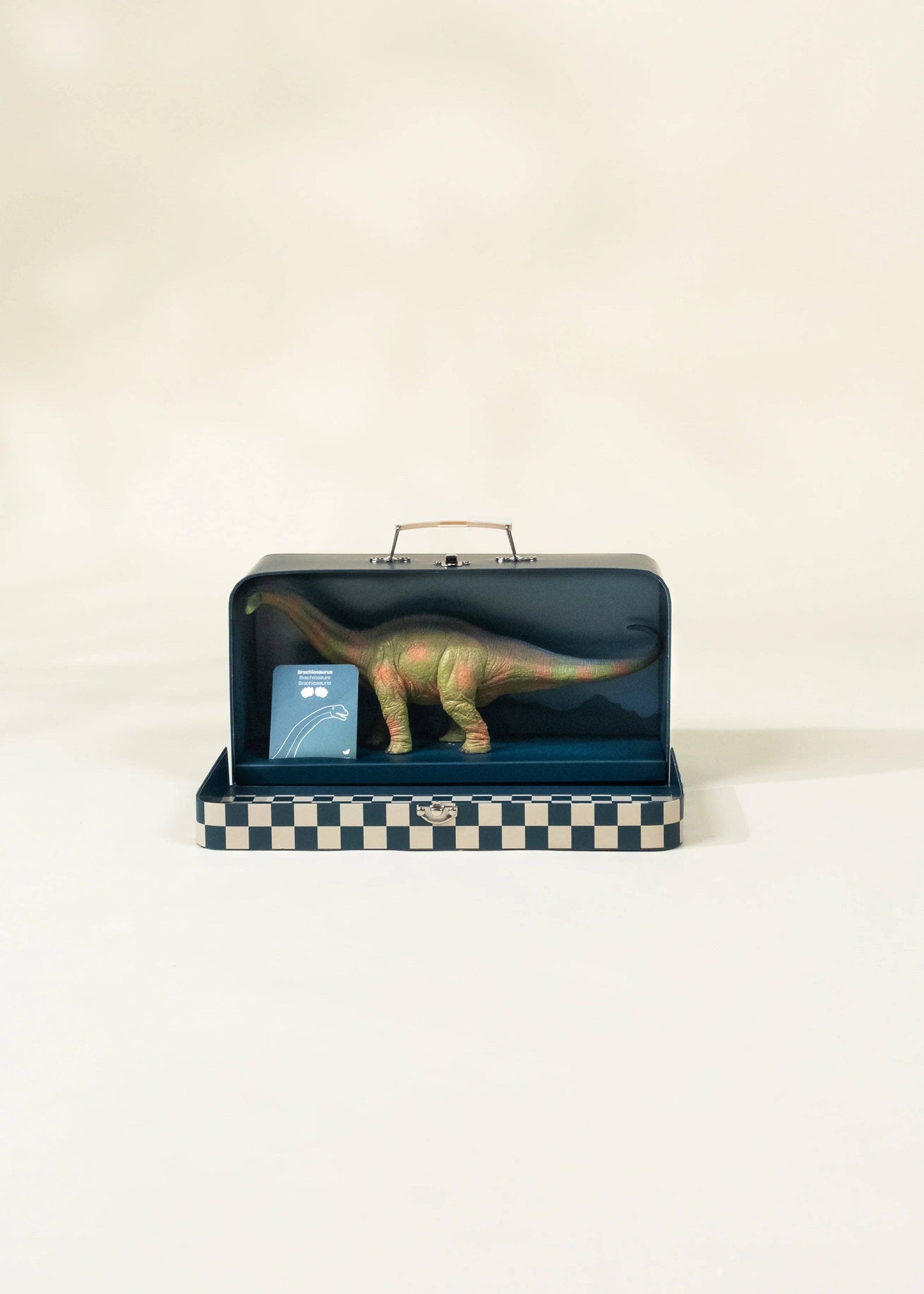Brachiosaurus Dinosaur in a Collectible Box