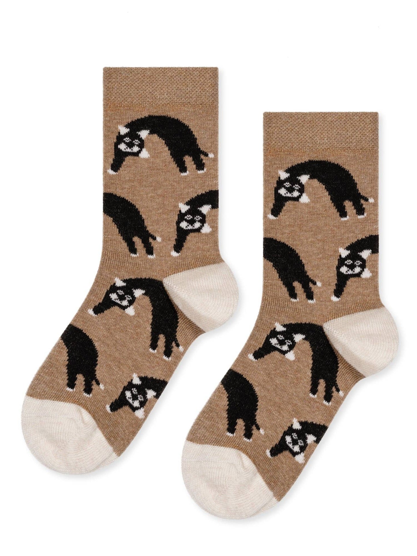 Pair of brown socks with cat pattern on a white background