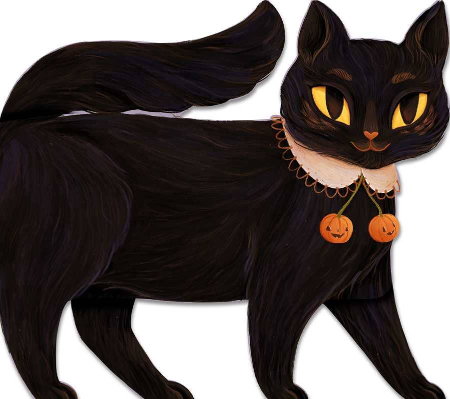 Illustration of a black cat with white peter pan collar tied with pumpkin stems on a white background 