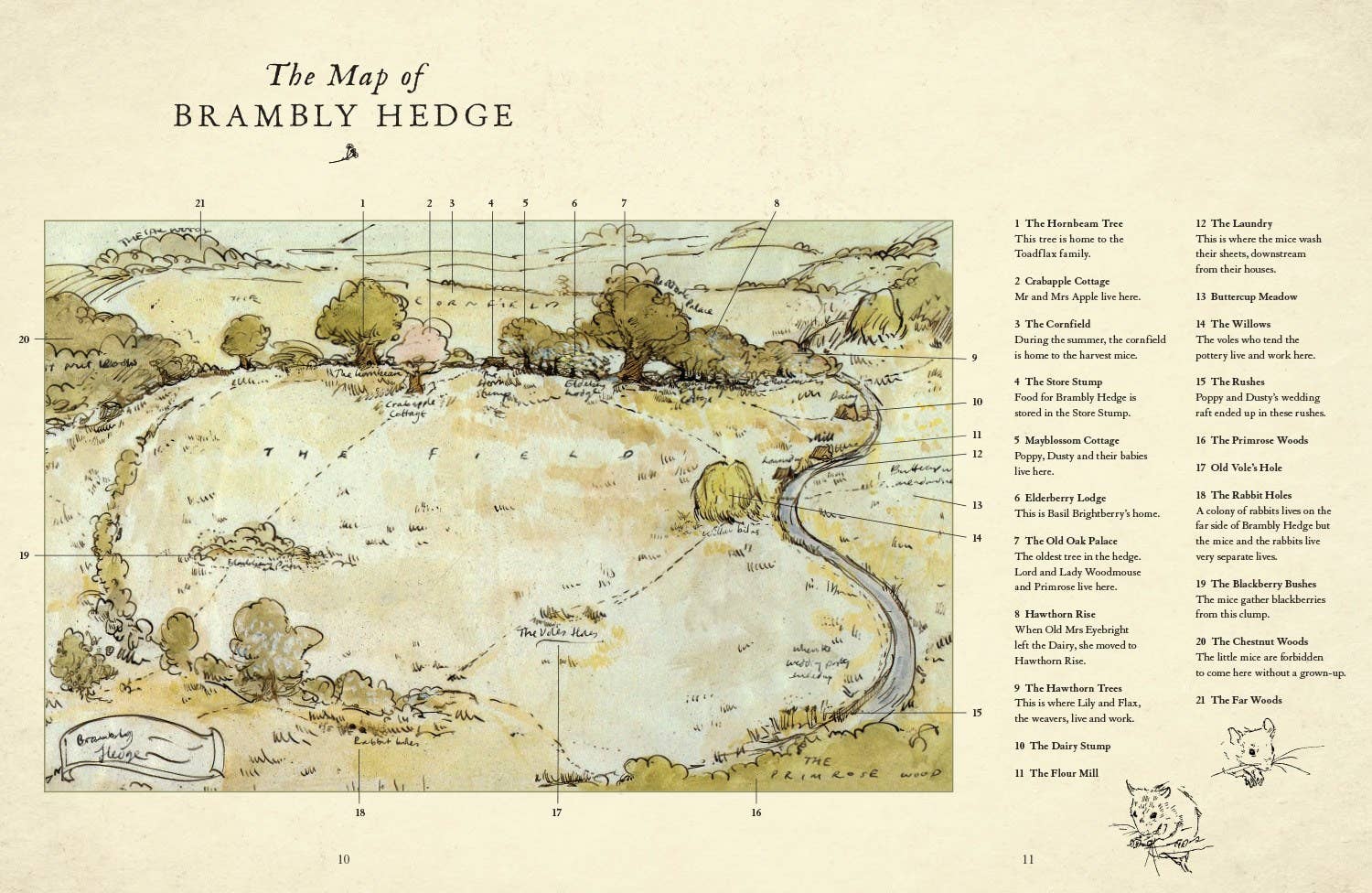 Map of Brambly Hedge with illustrations and text on a beige background