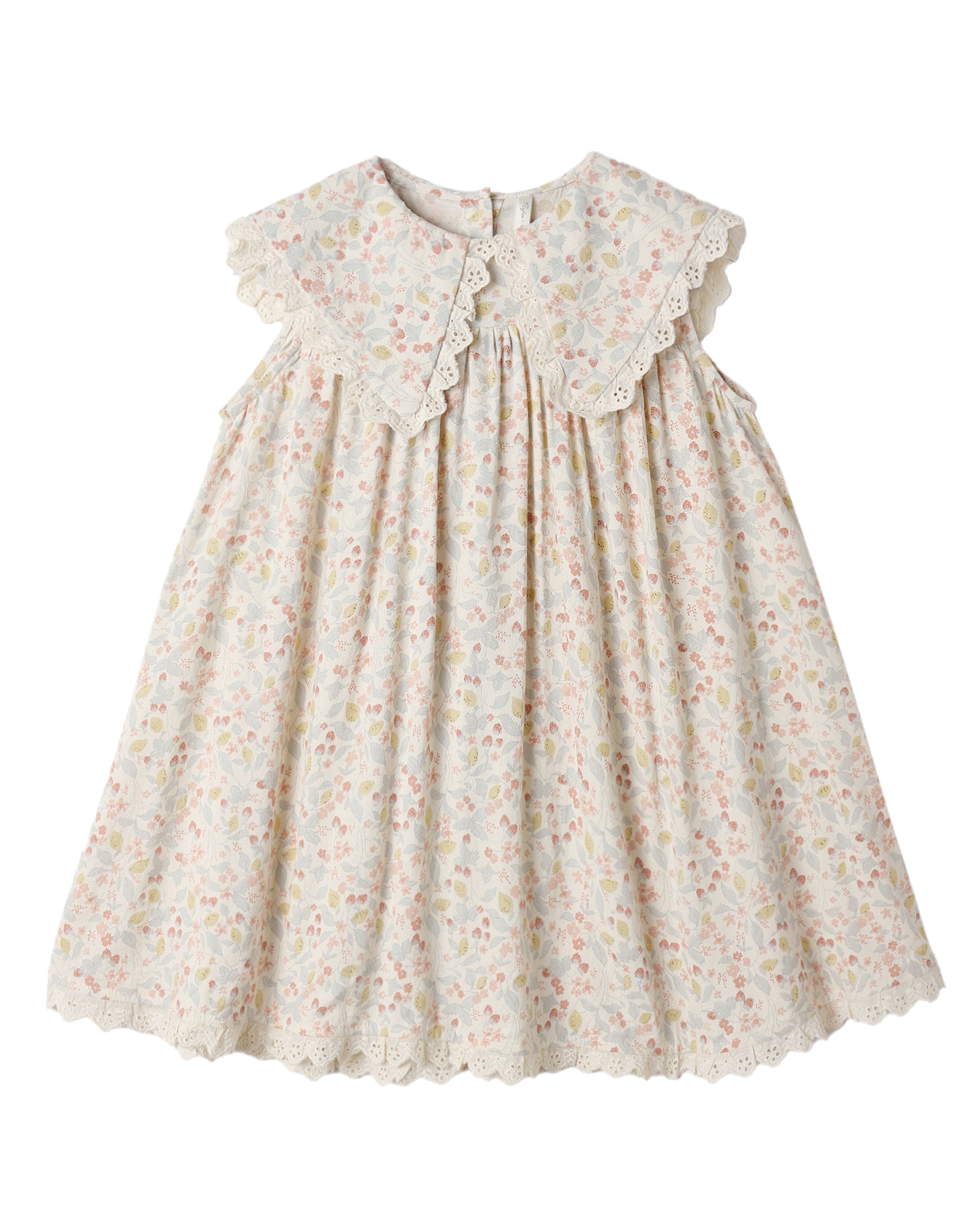 Floral dress with lace collar on a white background